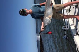 Meet your Posher, Harley